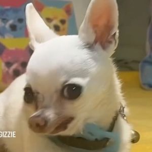 Meet your Posher, Lexi